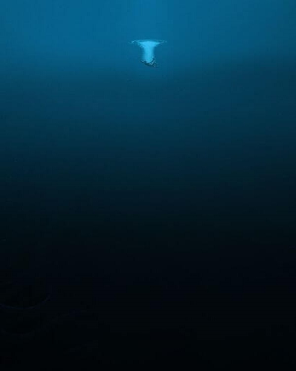 深海恐怖症　画像2