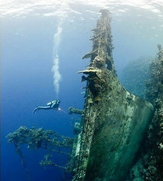 深海恐怖症　画像4